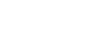 C.Vale Seg TOP 